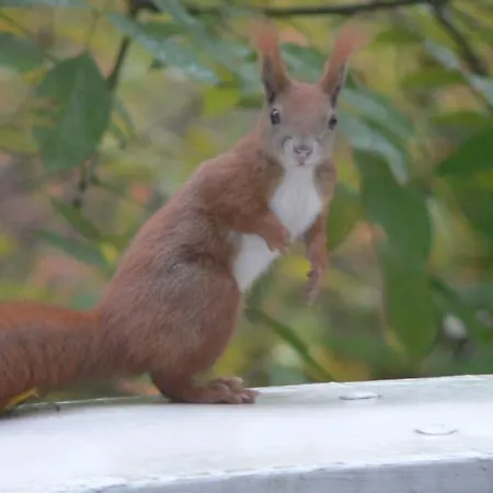 아파트 Am Stadtpark 괴를리츠