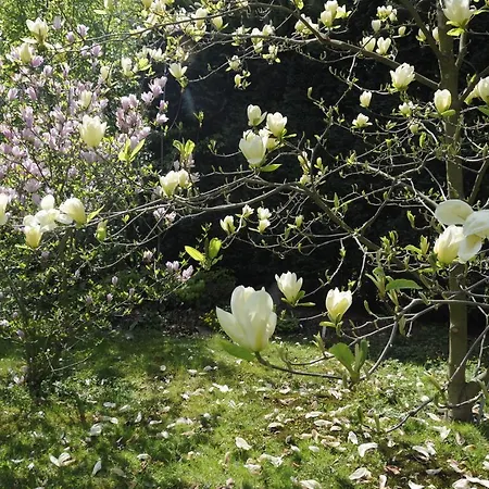 Am Stadtpark 아파트 *