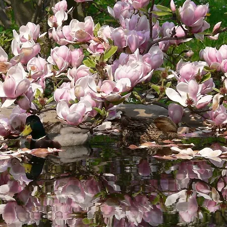 Am Stadtpark * Görlitz